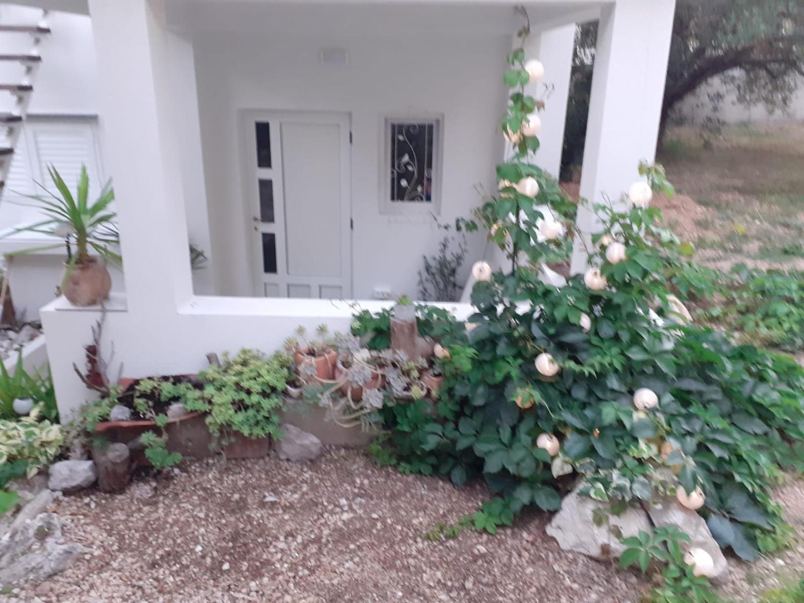Villa Ana Makarská Pokoj fotografie